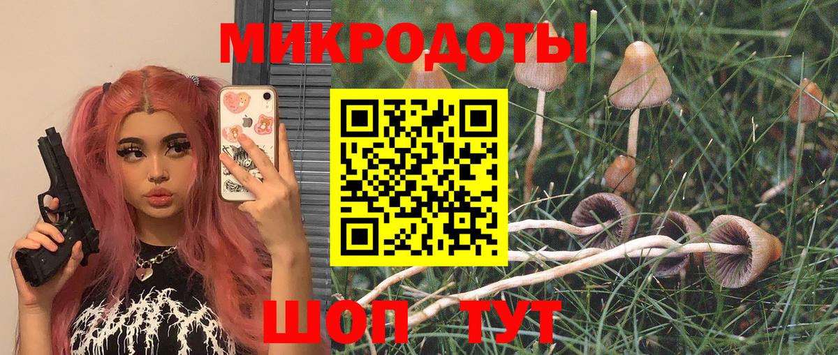 Галлюциногенные грибы Psilocybe  Псилоцибиновые грибы GOLDEN TEACHER  Вход с VPN  Сунжа 