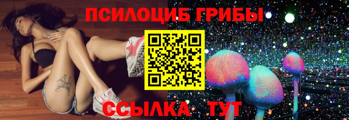 Псилоцибиновые грибы Cubensis Сунжа