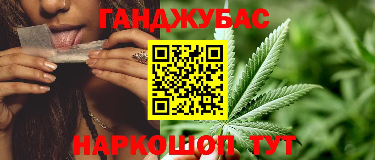 Каннабис сатива Сунжа